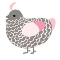 A ash and rose chicken with a lace pattern