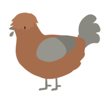 A brown and ash chicken