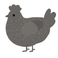 A grey chicken with a speckle pattern