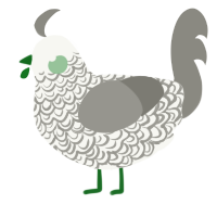 A white and ash chicken with a double-lace pattern