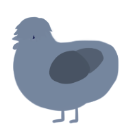 A sable and grey chicken