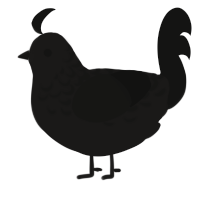 A sable and black chicken with a half-lace pattern