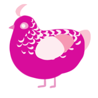 Blossom, a fuchsia and rose chicken with a half-lace pattern