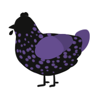 Molière the Strange, a black and overcast chicken with a speckle pattern