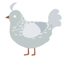 A silver and mist chicken with a half-lace pattern