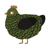 A olive and sable chicken with a lace pattern