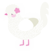 A white chicken with a double-lace pattern