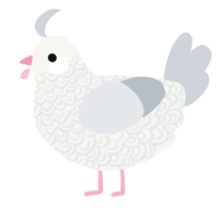 A white and mist chicken with a double-lace pattern