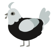 A sable and silver chicken with a head pattern