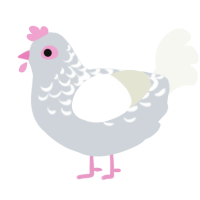 A mist and white chicken with a half-lace pattern