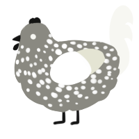 A ash and white chicken with a speckle pattern