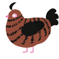 A russet and black chicken with a bar pattern