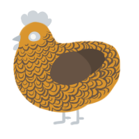 A orange and bark chicken with a double-lace pattern