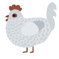 A mist chicken with a lace pattern