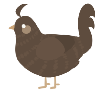 Ena, a bark chicken with a bar pattern