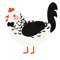 A white and black chicken with a half-lace pattern