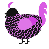 Hmmm, a black and orchid chicken with a lace pattern
