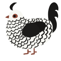 (unnamed), a white and sable chicken with a lace pattern