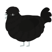A sable and black chicken with a bar pattern