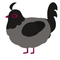 (unnamed), a grey and sable chicken with a head pattern