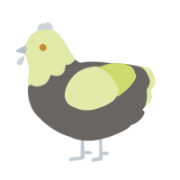 tom, a grey and lemon chicken with a head pattern