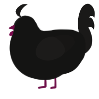 Blackberry, a black and sable chicken