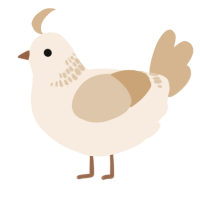 A cream and beige chicken with a neck-band pattern