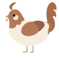 Choc chook, a cream and brown chicken with a head pattern