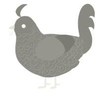 A ash chicken with a double-lace pattern