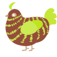 Shankling 3, a russet and lime chicken with a bar pattern
