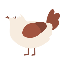 White chocolate, a cream and russet chicken