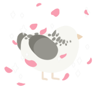 dove, a white and ash chicken with a neck-speckle pattern