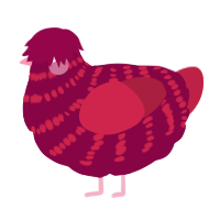(unnamed), a maroon and crimson chicken with a bar pattern