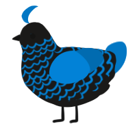 A sable and sapphire chicken with a lace pattern