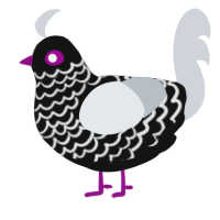 Cameron, a black and mist chicken with a lace pattern