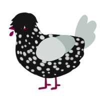 wired, a black and silver chicken with a speckle pattern