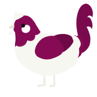 Rosé, a white and wine chicken with a head pattern