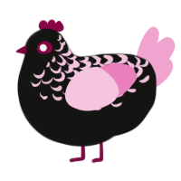 Zeezee, a black and pink chicken with a half-lace pattern