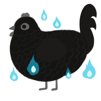 A black and sable chicken with a lace pattern