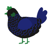 (unnamed), a sable and navy chicken with a lace pattern