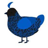 (unnamed), a sable and ultramarine chicken with a double-lace pattern