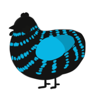 A black and cerulean chicken with a bar pattern