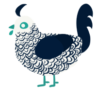 A white and tumblr chicken with a double-lace pattern