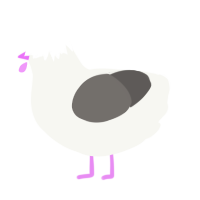 A white and grey chicken