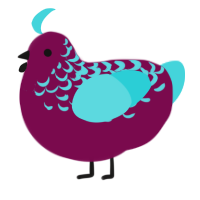 will o wisp, a wine and aqua chicken with a half-lace pattern