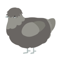 (unnamed), a grey and ash chicken with a head pattern