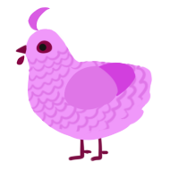 A lavender and orchid chicken with a lace pattern
