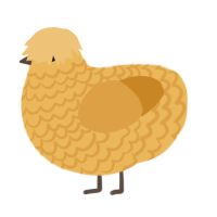 (unnamed), a honey and orange chicken with a lace pattern