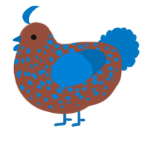Caboose, a russet and sapphire chicken with a speckle pattern