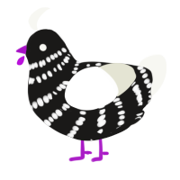 Oreo, a sable and white chicken with a bar pattern